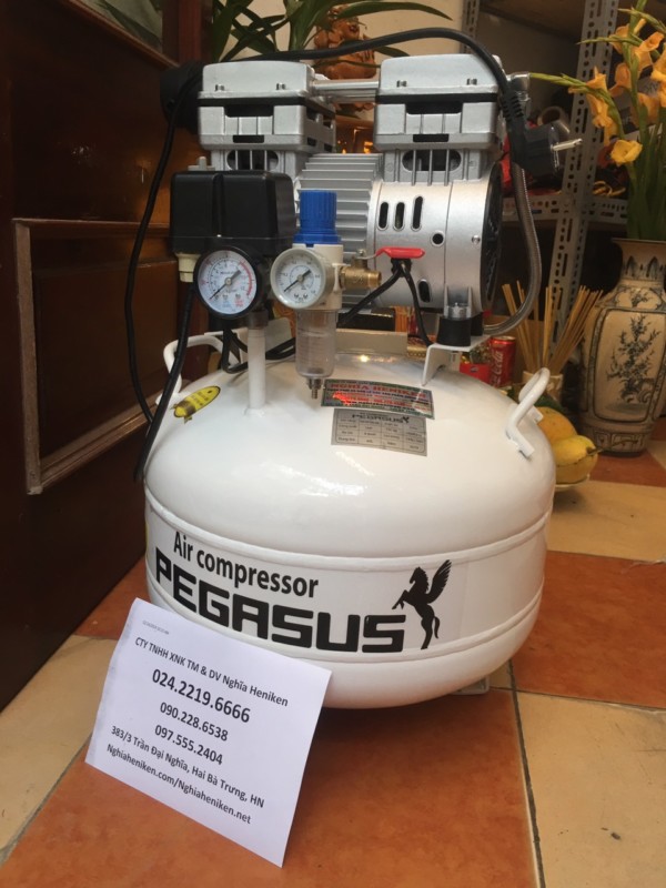 May Nen Khi Khong Dau Pegasus 40l