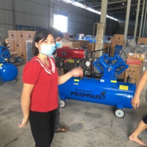Kho Hang Pegasus