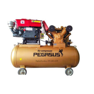 May Nen Khi 500 Lit 20hp Ap 125 Dau No 24hp Pegasus Model Tm W 20 125 500l
