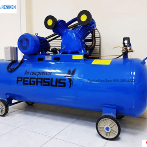 May Nen Khi Pegasus Day Dai Tm V 0.25 8 180l