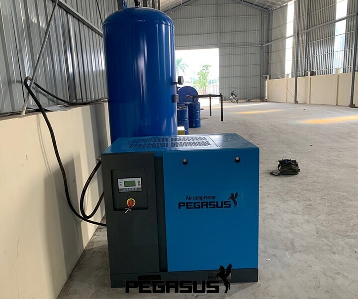 May Nen Khi Pegasus Truc Vit Tmpm 20hp 15kw