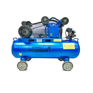 Nen Khi Pegasus Model Tm V 025 8 180l 220v 3hp 180 Lit Ap 8
