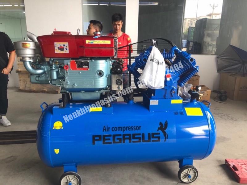 Máy nén khí đầu nổ Pegasus 500L