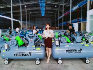 May Nen Khi Pegasus Mau Moi