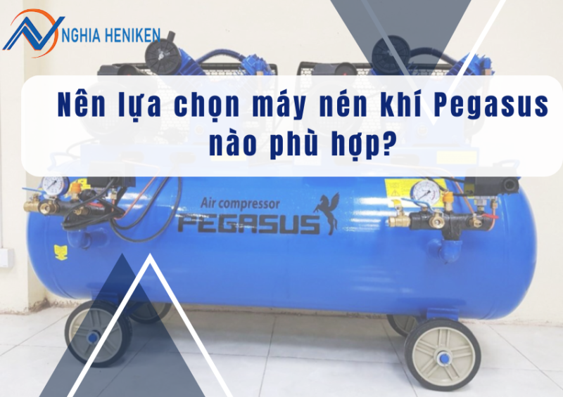 Nen Lua Chon May Nen Khi Pegasus Nao