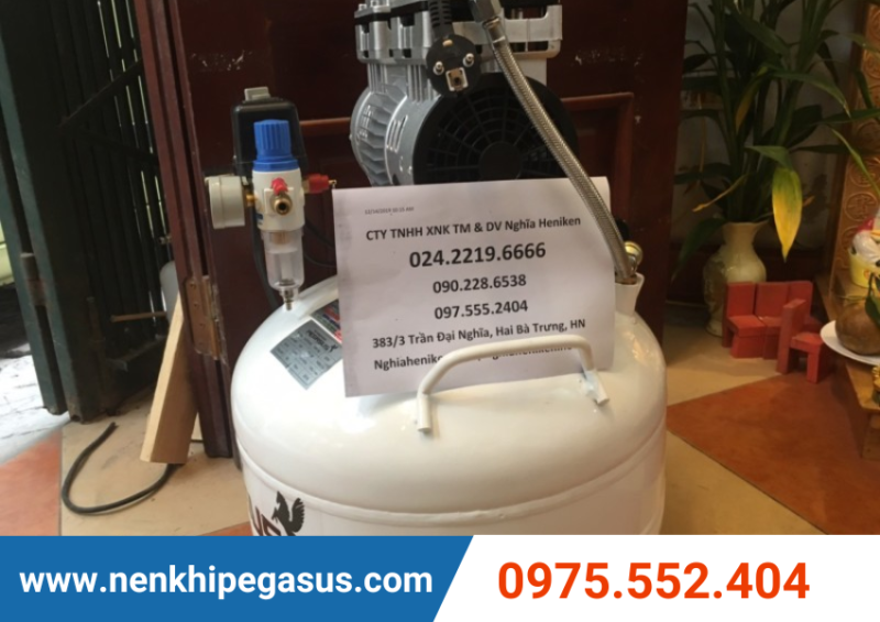Máy nén khí mini Pegasus - Ảnh 1