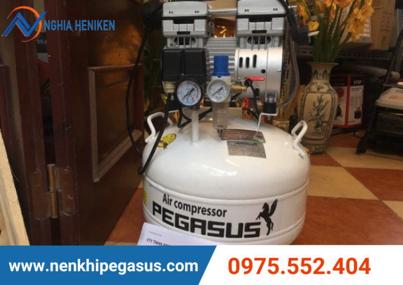 Máy nén khí mini Pegasus - Ảnh 2